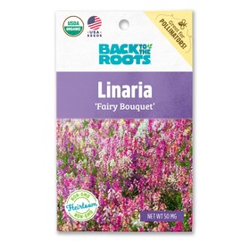 Back to The Roots 100% Organic Seed Packet - Linaria 'Fairy Bouquet' 50mg