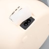 Car Electric Lunch Box 1.2L 360 Degree Fast Even Heating