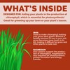Bloom City's Organic Liquid Iron - Liquid Iron for Lawn