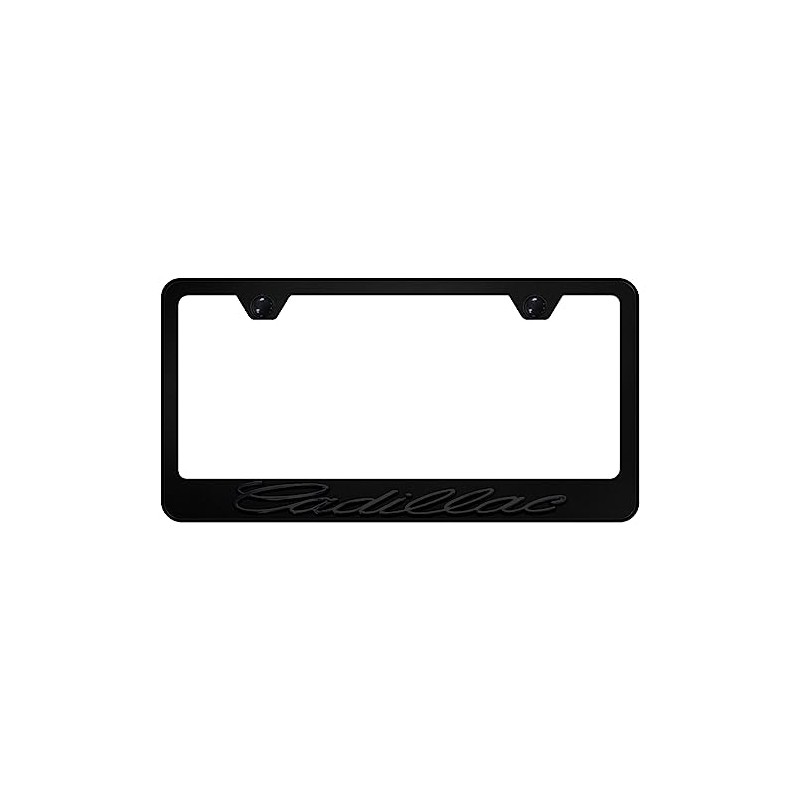 Au-TOMOTIVE GOLD OEM Logo Stainless Steel License Plate Frame for