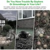 Ultrasonic Mole Repellent Outdoor, 6 Pack Gopher Repellent Solar-Powered for