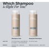 Paul Mitchell Shampoo One 500ml