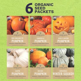 Organic Pumpkin Seeds Variety Pack - 6 Individual Packs - 2026 Season - Jack O' Lantern, Cinderella, Big Max and More! for Indoor & Outdoor Planting (Non-GMO, Certified Organic)