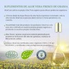 AloeCure Probiótico + cápsulas enzimas con prebióticos, 2.4 mil millones
