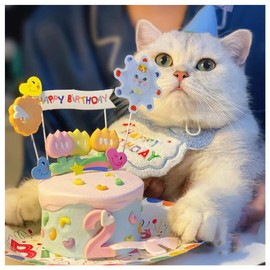 SSZYMAOYI Dog Birthday Dog Hat Cat Birthday Dog Birthday Goods Bow Tie Stai Cat Towel Cute Saliva Towel Birthday Hat (2 Piece Set, Blue) Birthday Goods, Decoration, Present, Pet Clothes