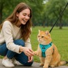 Cat Chest Harness and Leash Set for Walking Escape Proof,