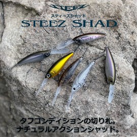 DAIWA Bus Steese Shad, Akabane Shad, 60 SP MR Lure