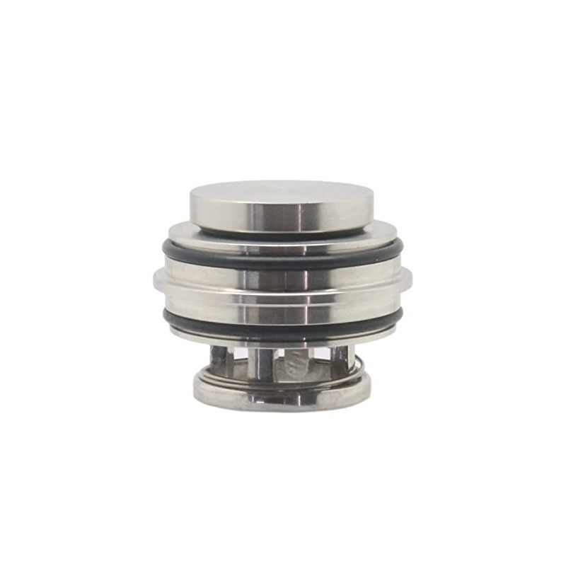 QiiMii Stainless 316L Insert Check Valve Inline Non Return Valve