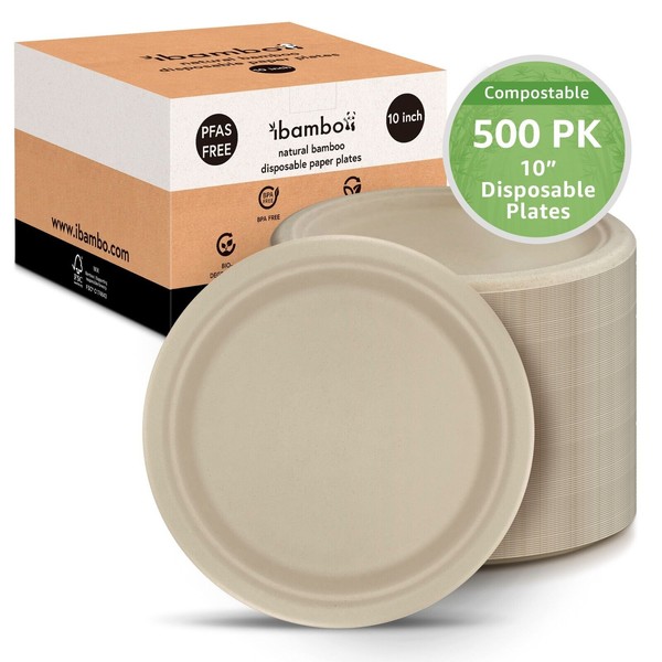 Ibambo Bamboo Disposable Paper Plates - 10 Inch, 500 Pack,
