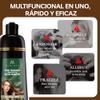 Shampoo para Canas 3 en 1, Shampoo Tinte Instantaneo Cubre