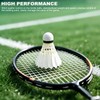 Rthynti 6Pcs Shuttlecocks Badminton, Professional Duck Feather Badminton, Shuttlecocks with