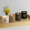 The ANCIENT OLIVE TREES Candle | 65-Hour Burn Time |