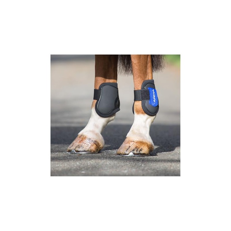 Shires Arma Fetlock Boots - Black/Royal Blue: Cob/Full
