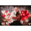 Kate Valentines Day Backdrop Red Love Heart Brick Wall Photo
