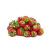 Seascape Everbearing Strawberry Bare Roots Plants, 25 per Pack, Hardy