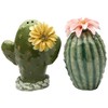 CG 20893 3.13" Painted Pair of Cactus Flowers Salt and