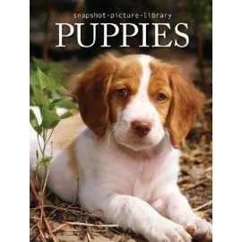 Snapshot Picture Library Puppies - Hardcover By Sonia Vallabh - VERY GOOD
