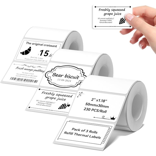 NIIMBOT Labels Compatible with B1 / B21 / B3S Label