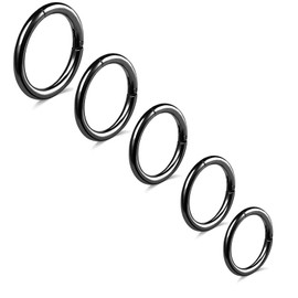 BLISI 5Pcs G23 Titanium Nose Rings 16G/18G/20G Hinged Clicker Segment Nose Rings Hoop Lip Septum rings Multi-Color Tragus Cartilage Sleeper Earrings 6mm-10mm hypoallergenic nose rings for women men