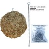 Topiary Art Works Sphagnum Moss Kokedama Ball Hanging - 10"
