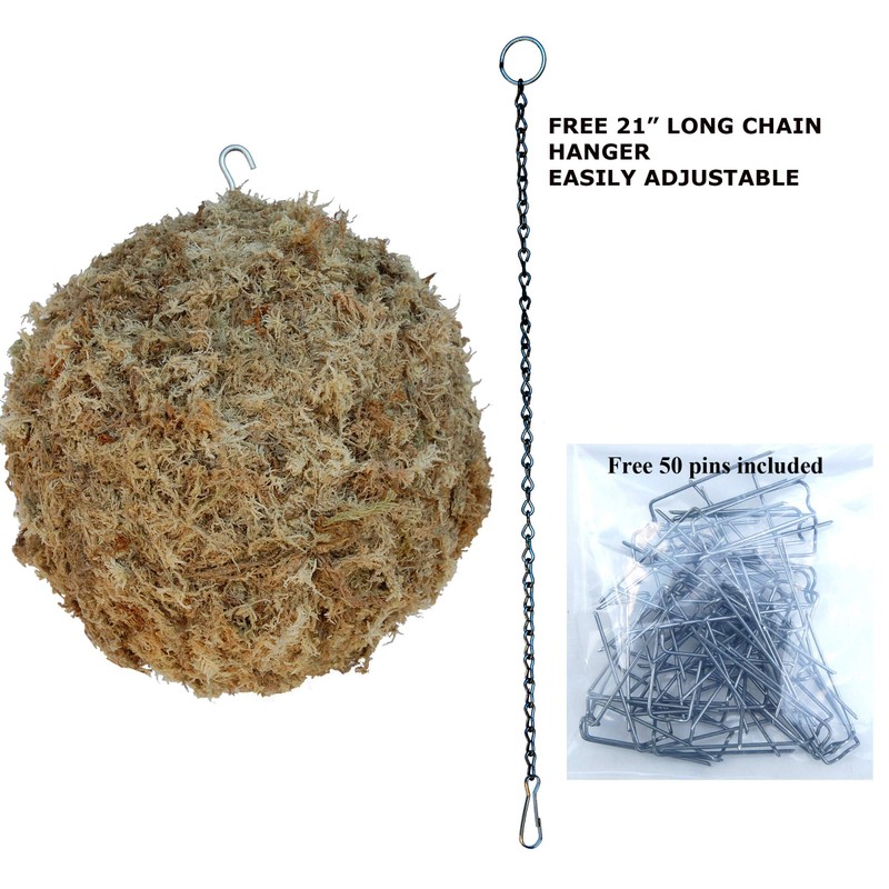 Topiary Art Works Sphagnum Moss Kokedama Ball Hanging - 10"