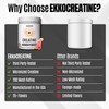 Ekkovision Creatine Monohydrate Powder, Micronized, Pink Lemonade, Pre Workout &