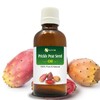 Salvia Camphor Oil (Cinnamonutn camphora) Natural Pure Undiluted Uncut Carrier