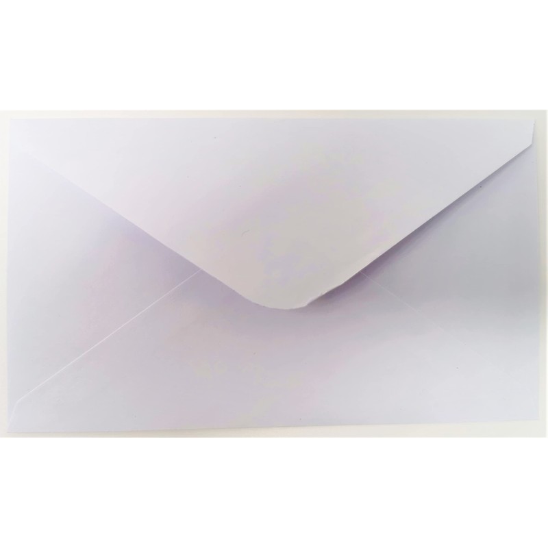 Tallon (2906) Christmas Money Wallet & Envelope, Arctic Luxe -