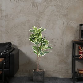 FLOWORLD Artificial Rubber Tree Plant 43in Tall Faux Ficus Tree Potted Fake Tropical Decorative House Large Floor Artificial Plants for Home Office Store Room Decor