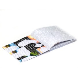 Foldology 3 - Pliegues imposibles. Juego de rompecabezas de nivel experto. 60 brotes de cerebro de origami extra duros. No para principiantes.