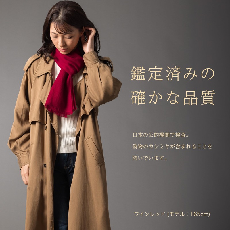 Pashmina Collection Merino Cashmere Scarf, Plain, Gift Box Included, cloud