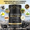 Shilajit Gummies, Pure Himalayan Shilajit Gummies Gold, No Added Sugar