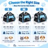 Blue Pet Carrier Bag for Cats and Small Dogs –