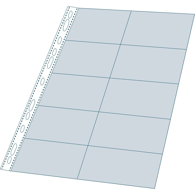 Exacompta - Ref 55046E - Polypropylene Specialist Business Card Punched