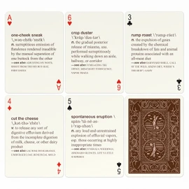 Knock Knock 52 Farts Playing Cards Deck, Adult-Humor Playing Cards (AKA Not Kiddo Friendly!)