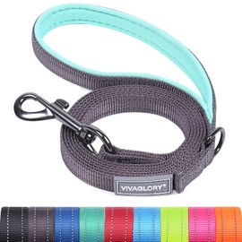 VIVAGLORY Dog Lead with Comfortable Neoprene Padded Handle, Heavy Duty Training Lead for Small & Medium Dogs