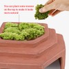 Flushbay Reptile Habitat Décor Hideouts Basking Platform with Ramp for