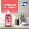 DIAL Jabón para manos, Granada Mandarina, 460ml, elimina el 99%