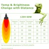 HARTOMPET 60W E26 Reptile Heat Lamp Bulbs, UVA Basking Spot