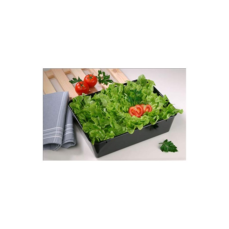 thermohauser SAN Plastic Display Tray, 30.0 x 19.0 x 9.0