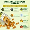(120 pcs) Mullein Gummies for Lungs Detox– Mullein Leaf Extract