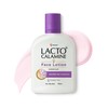 Lacto Calamine Daily Face Moisturizing Lotion for Oily Skin, 4.06