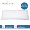 Procave Micro Aloe Vera Summer Program