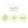 ⭐Cold-pressed⭐Avo Jeju Camellia Oil (100%) - Avo Jeju Camellia Oil
