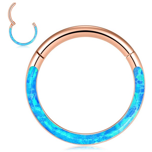Longbeauty 16G CZ Opal Hinged Segment Nose Rings Hoop 316L