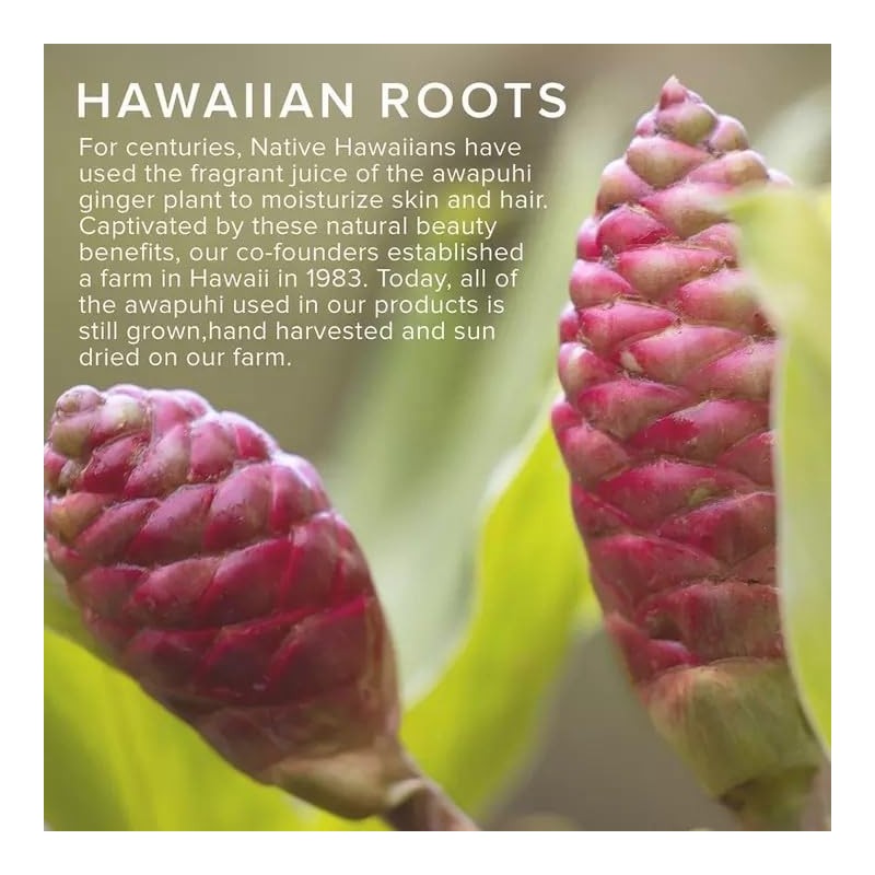 Awapuhi Wild Ginger by Paul Mitchell Styling Treatment Oil, Dry-Touch,