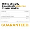 BrocElite BrocElite BerbElite | 350mg Berberine HCL & Broccoli Seed