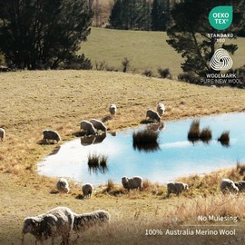 Merino Protect 100% Merino Wool Polo Shirts Mens Anti-Odor Short Sleeve Moisture Wicking Base Layer for Travel