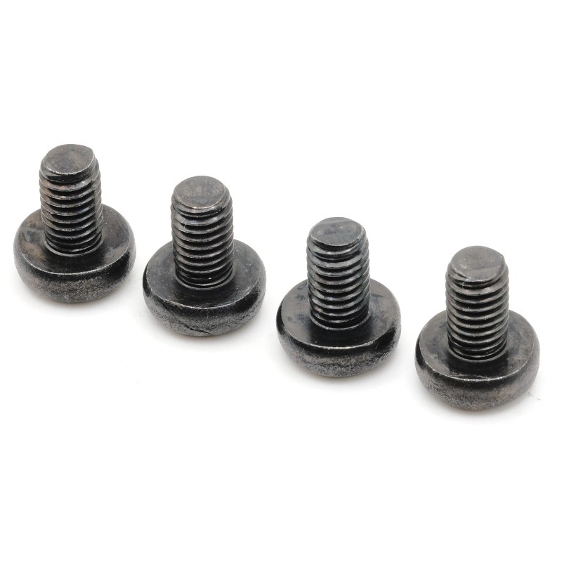 Mercedes Stainless Screws for Mercedes S550 License Plates (Set of