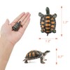 OOTSR 20 Pieces Turtle Figurines, Ocean Animal Small Turtle Realistic
